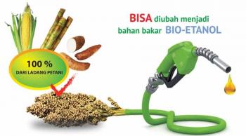 Bioetanol Singkong Yang Ramah Lingkungan